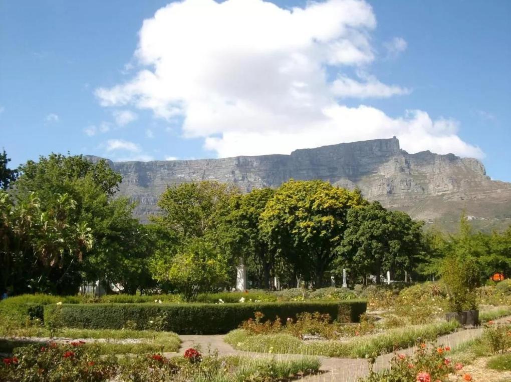 Taj Hotel Cape Town - Luxury 5 Star Suites - Very Spacious With Kitchenette, Lions Head Views Extérieur photo